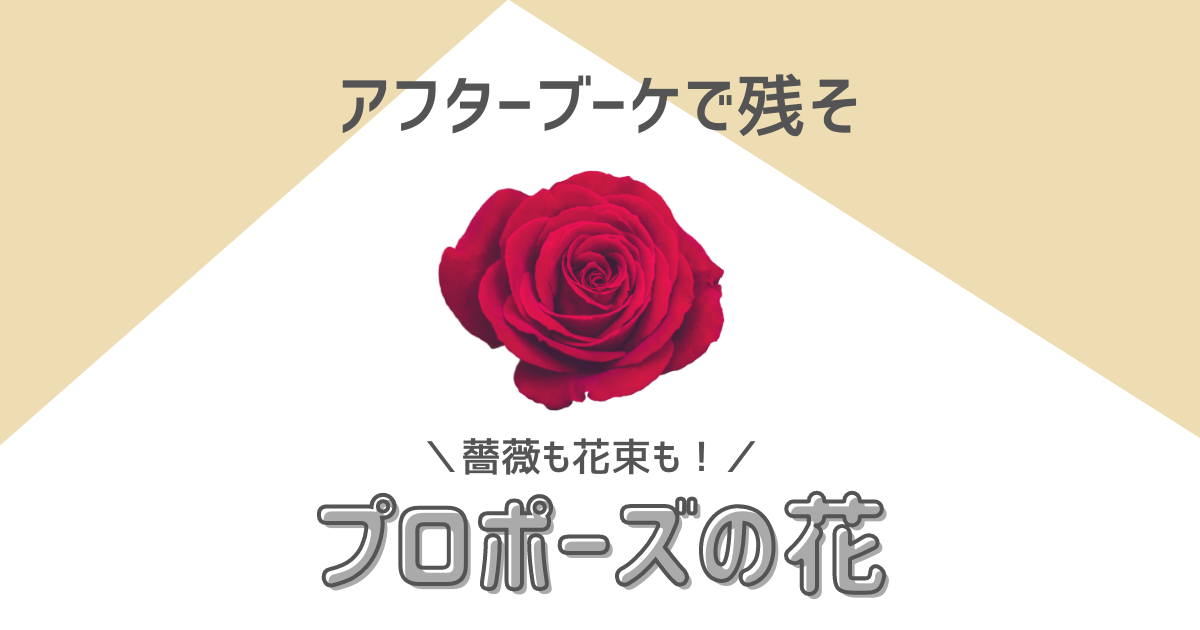 アフターブーケ　プロポーズ　薔薇　花束